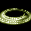 Manguera Plana de Led 38W