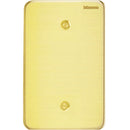 Placa Ciega Quinziño