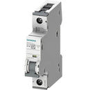 Pastilla Térmica Riel DIN 1 Polo 10 Amperes