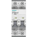 Pastilla Térmica Riel DIN 2 Polos 20 Amperes