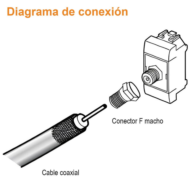 Toma de TV Modus