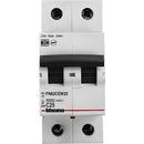 Pastilla Térmica Riel DIN 2 Polos 25 Amperes