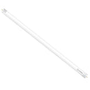 Tubo Led T8 31W