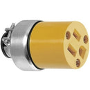 Contacto blindado aterrizada con abrazaderas