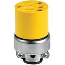 Conector de Vinil Blindada NEMA 5-15 15A 125V~