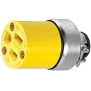 Conector de Vinil Blindada NEMA 5-15 15A 125V~