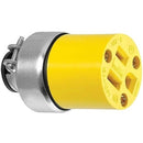 Conector de Vinil Blindada NEMA 5-15 15A 125V~