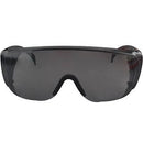 Lentes de Seguridad Tradicionales Color Humo