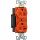 Receptáculo Dúplex Tierra Aislada